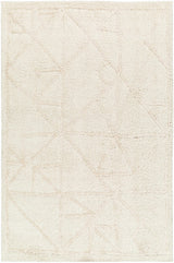 Akili Area Rug