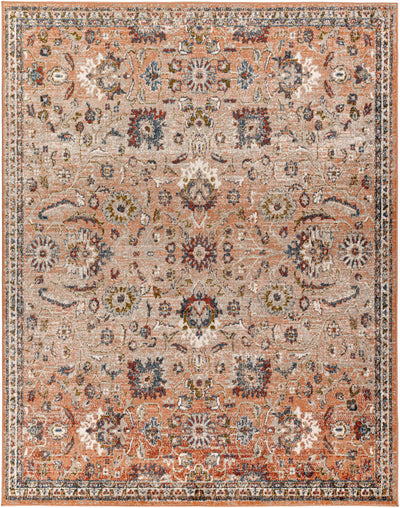 Akyurt Traditional Area Rug - Clearance