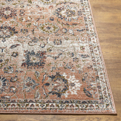 Akyurt Traditional Area Rug - Clearance