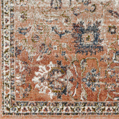 Akyurt Traditional Area Rug - Clearance