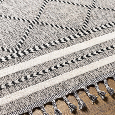 Alev Area Rug - Clearance