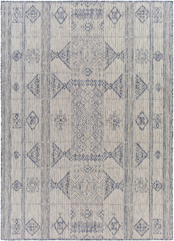 Malamig Gray & Blue Area Rug - Clearance