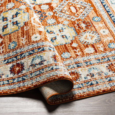 Alpaco Orange Medallion Area Rug - Clearance