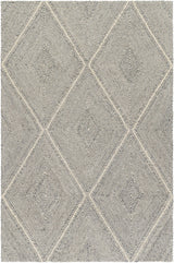 Amari Area Rug
