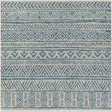 Novato Aqua All Over Pattern Performance Rug