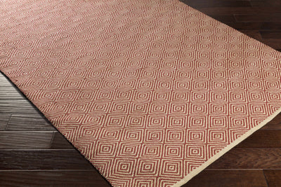 Amissville Jute Rug - Clearance