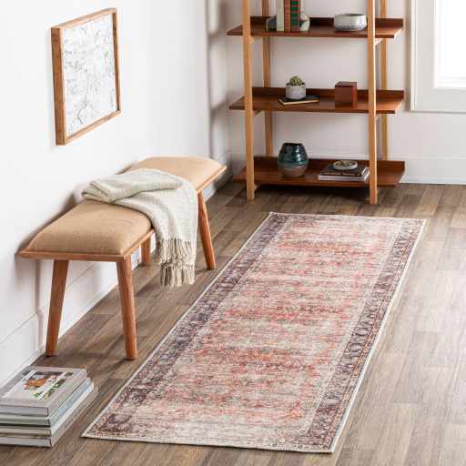 Rust Anahawan Distressed Washable Area Rug - Clearance – Boutique Rugs