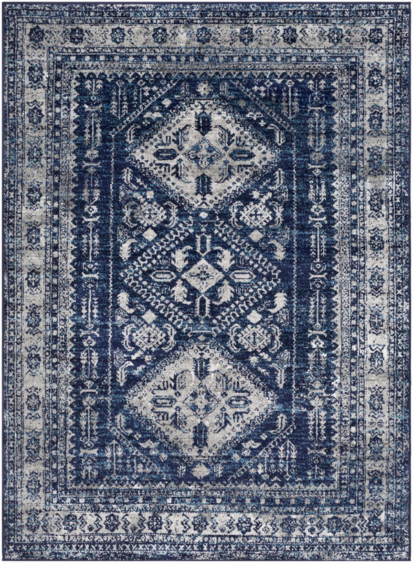 Andes Area Rug