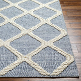 Andra Area Rug - Clearance