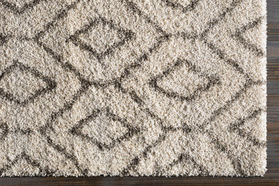 Annapolis Area Rug - Clearance