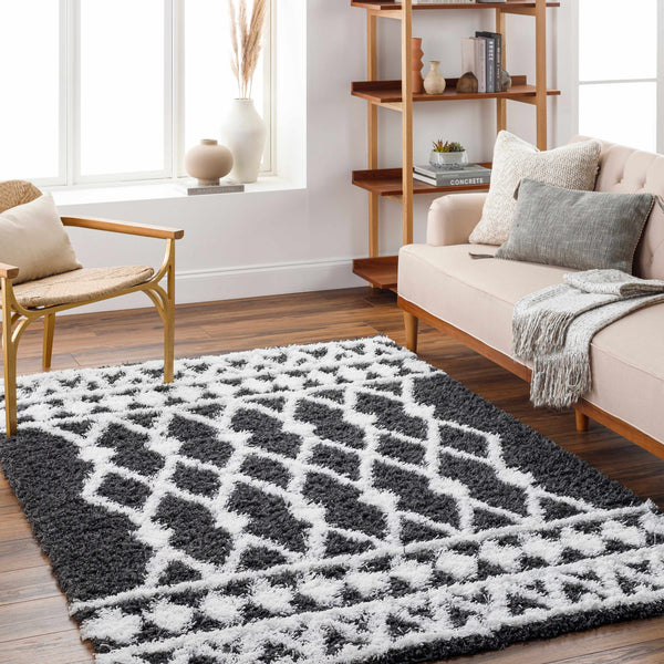 Anwer Shag Area Rug