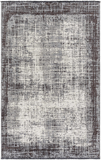 Binh Gray Area Rug - Clearance