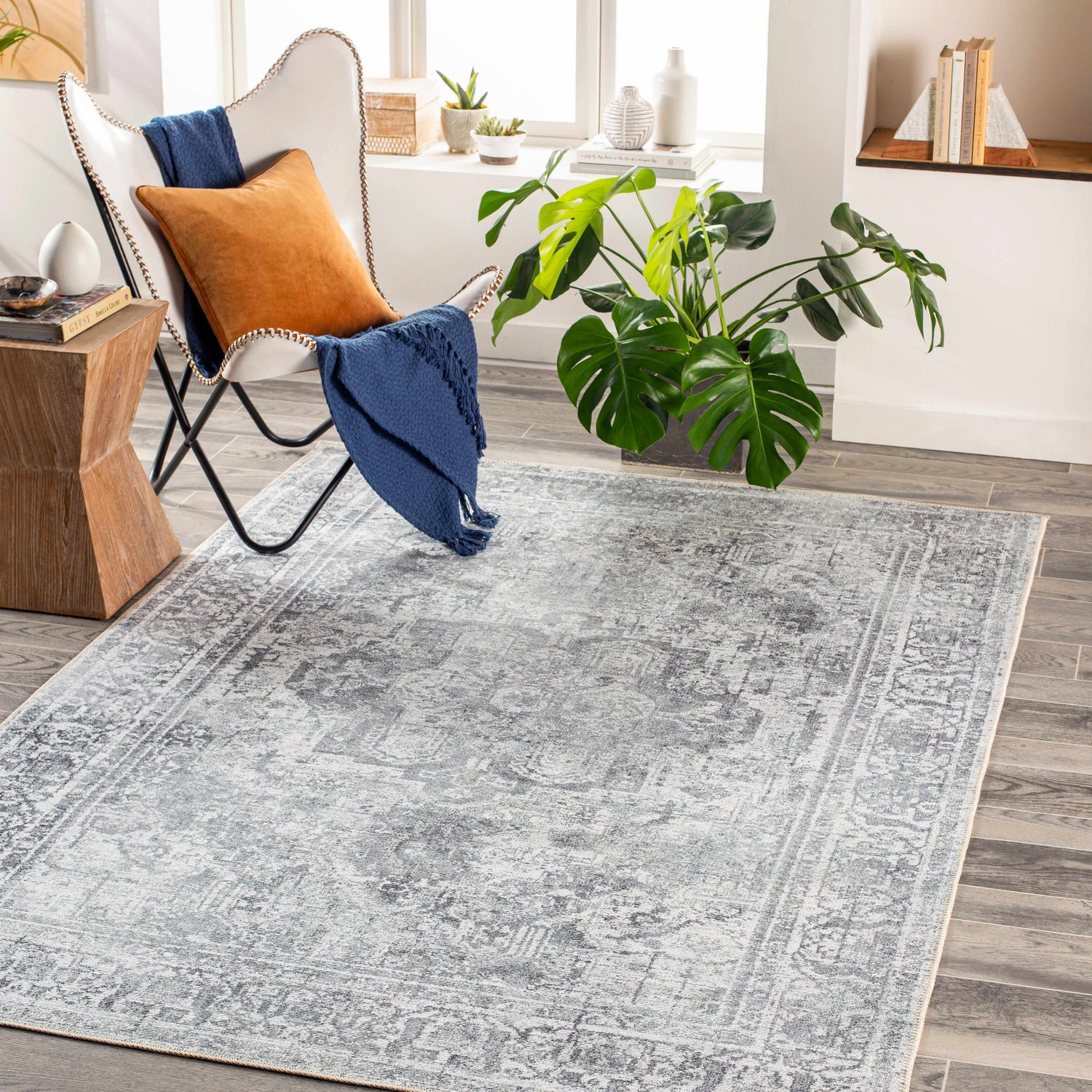 Aquino Washable Area Rug - Clearance