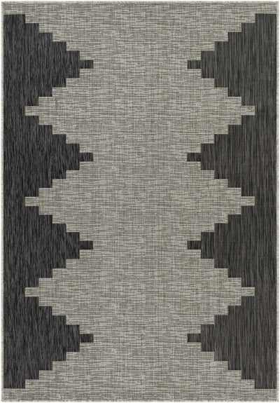 Arcata Black/Beige carpet