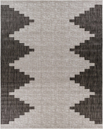 Arcata Black/Beige carpet