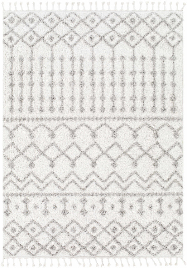 Arhavi Area Rug - Clearance