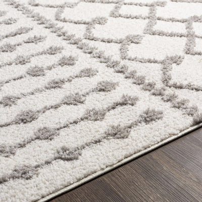 Arhavi Area Rug - Clearance