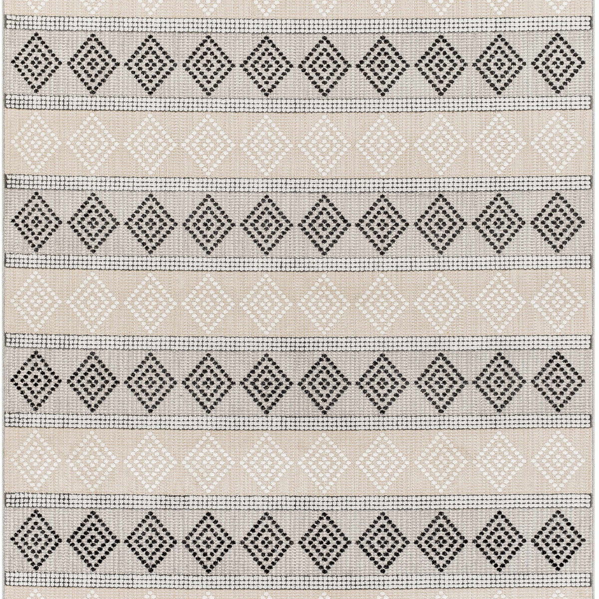 Arij Area Rug - Clearance – Boutique Rugs