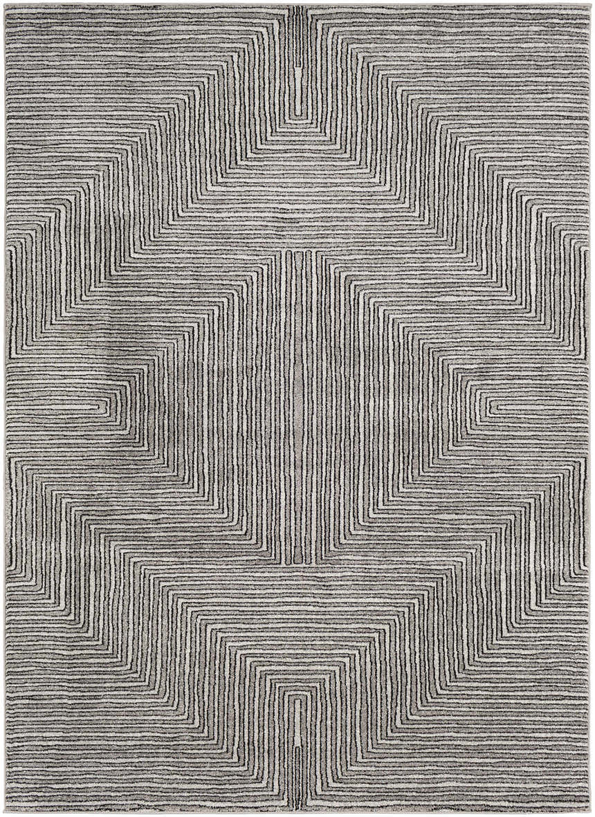 Close-up of the Artois Area Rug, a black, cream, and gray rug with a geometric, linear pattern. Design-Rectangle-5373