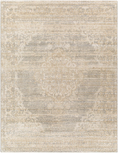 Askenish Ultra Distressed Area Rug - Clearance