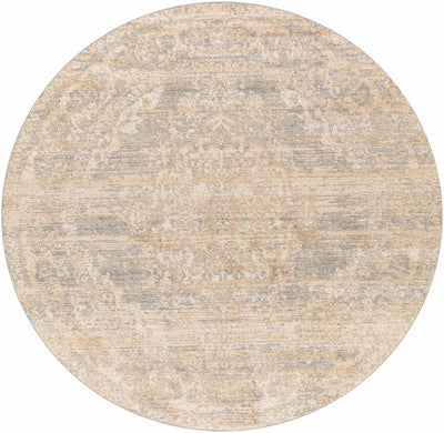 Askenish Ultra Distressed Area Rug - Clearance