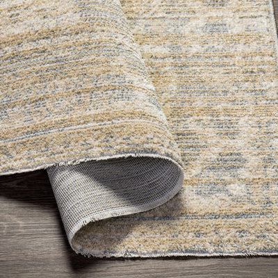 Askenish Ultra Distressed Area Rug - Clearance