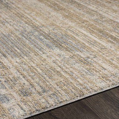 Askenish Ultra Distressed Area Rug - Clearance