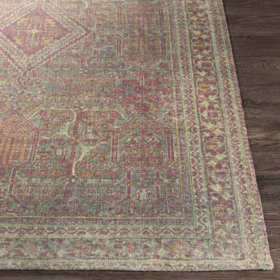 Aspley Area Rug - Clearance