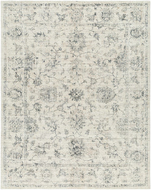 Astin Area Rug