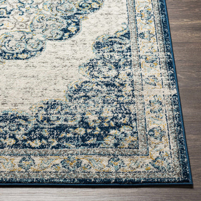 Asturga Area Rug - Clearance