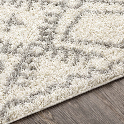 Atascadero Area Carpet - Clearance