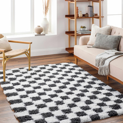 Atira Black & White Checkered Area Rug