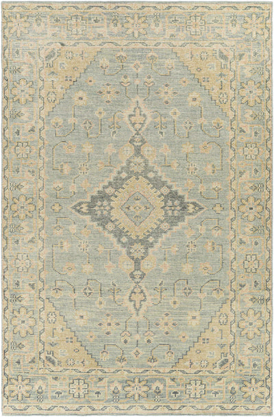 Attwood Traditional Hand Knotted Wool Rug