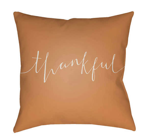 Ayla Outdoor Throw Pillow