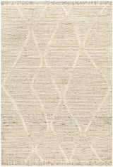 Aysu   Area Rug - Clearance