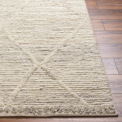 Aysu Area Rug