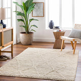 Aysu   Area Rug - Clearance