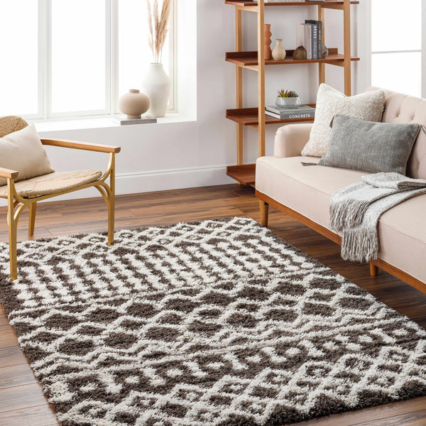 Aysel Shag Area Rug