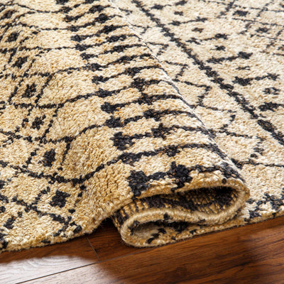 Aziza Area Rug