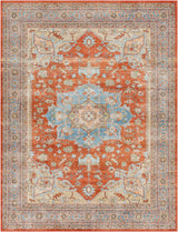 Bacoor Washable Area Rug - Clearance