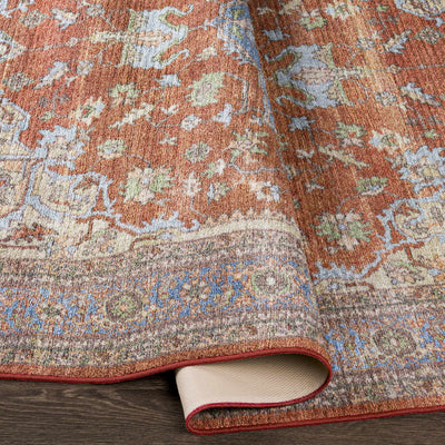 Bacoor Washable Area Rug - Clearance