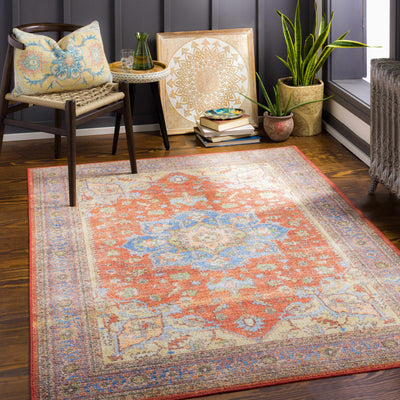 Bacoor Washable Area Rug - Clearance