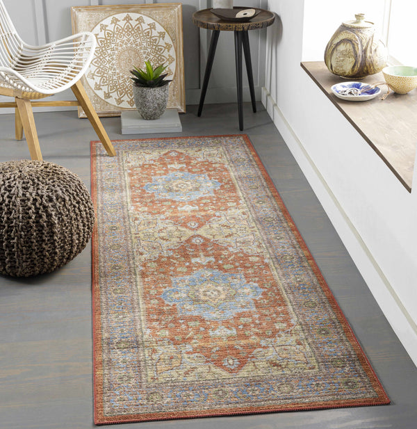 Bacoor Washable Area Rug - Clearance