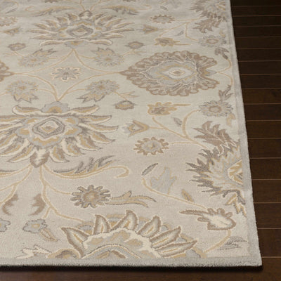 Conesus 1192 Hand Tufted Ivory&Taupe Wool Rug