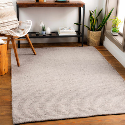 Bairnsdale Flatweave Performance Rug - Clearance