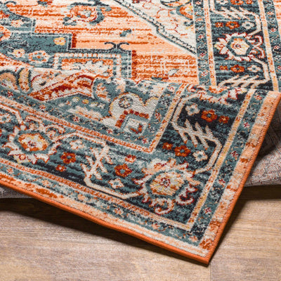 Balabagan Indoor & Outdoor Rug - Clearance