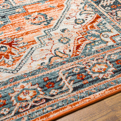 Balabagan Indoor & Outdoor Rug - Clearance