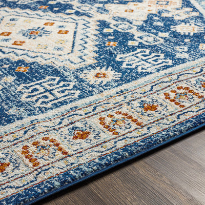 Balucawi Area Rug - Clearance