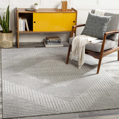 Banayoyo Gray Carved Wool&Viscose Rug