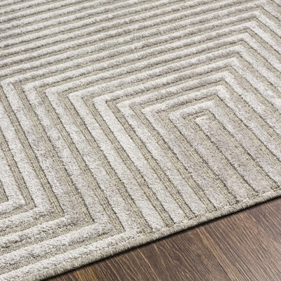 Banayoyo Gray Carved Wool&Viscose Rug